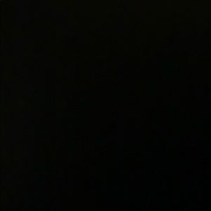 Meet your Posher, Shelby